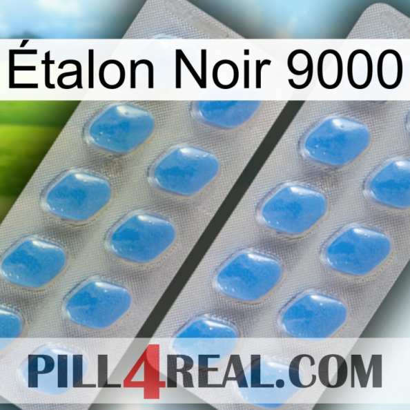 Étalon Noir 9000 23